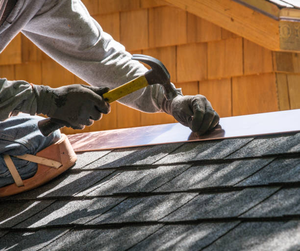 Best Roof Gutter Cleaning  in Sergeant Bluff, IA